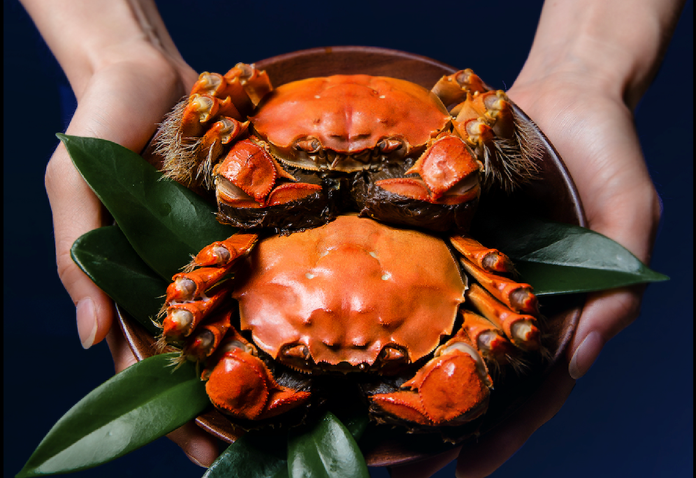 TMGM 2025 十一月份入金礼物